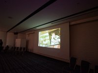 img (388)